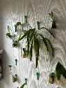 IMG-20250126-WA0001.webp