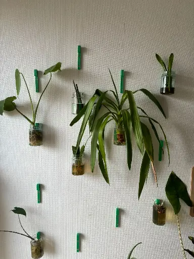 Supports mural pour pot en verre  – Suspension végétale minimaliste